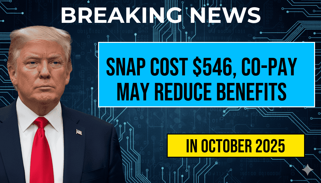 SNAP for Two Costs $546, but State Co-Pay Plans Could Reduce Your Benefits by Over $50